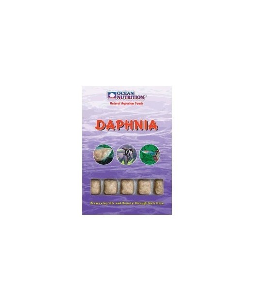Congelado daphnia blister 100gr (x6)