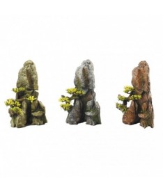 Ebi roca + bonsais surtidas bonsailate 17cm