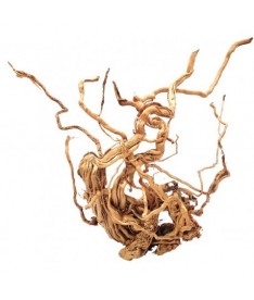 Madera natural twist root precio/kilo