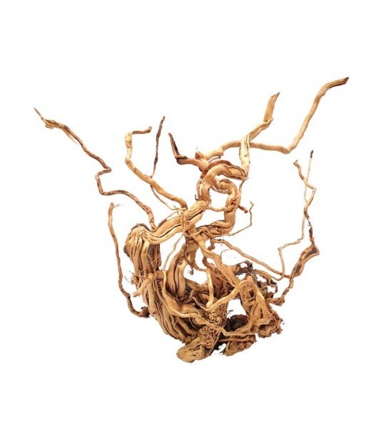 Madera natural twist root precio/kilo