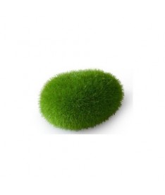 Roca moss ball s 6x4.5x3.5cm