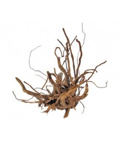 Madera natural sunken root pieza 30-40cm