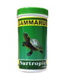 Gammarus surtropic 100ml 10gr