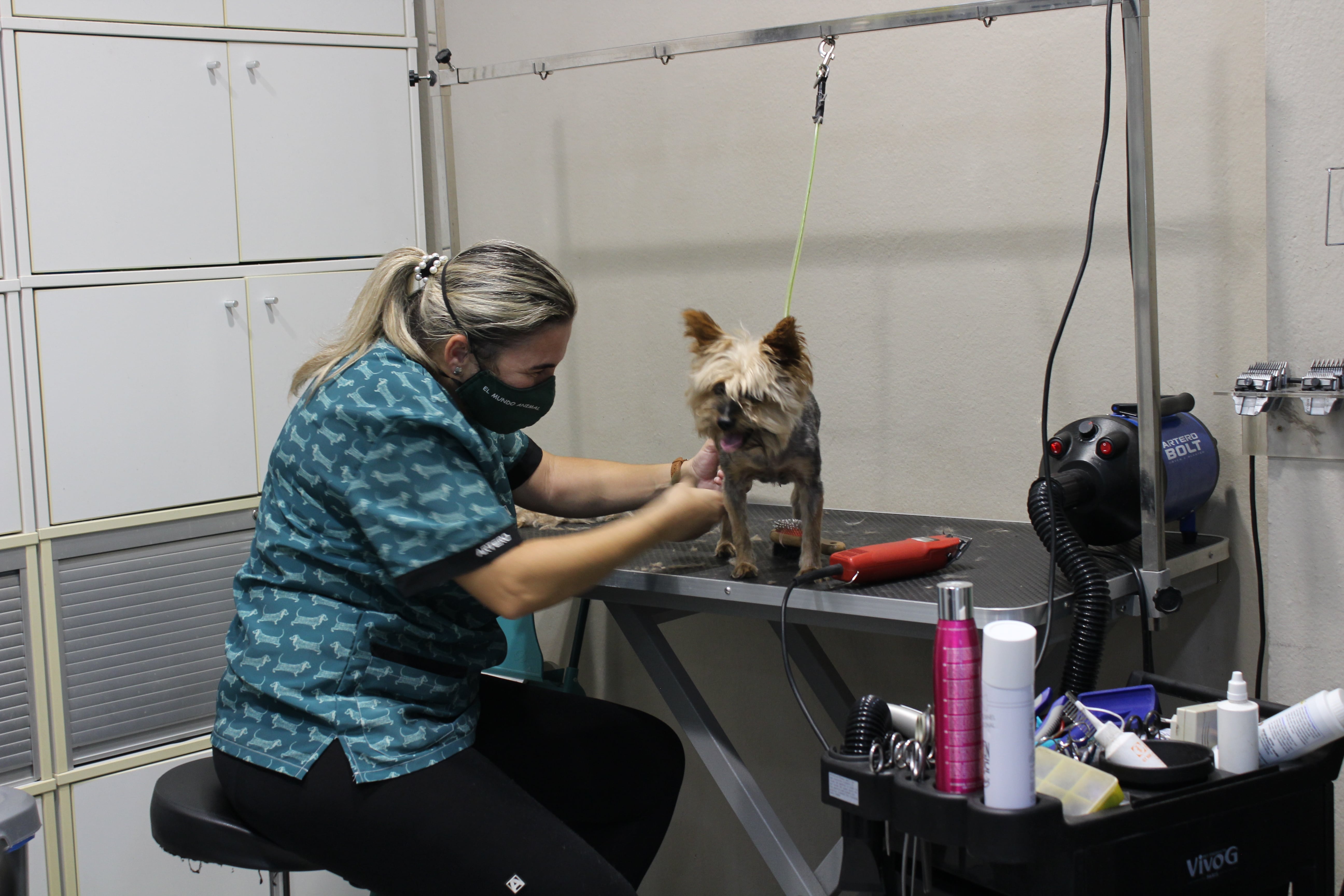 Servicio peluqueria canina El Mundo Animal
